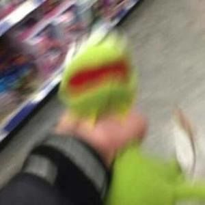 Meet your Posher, Zoe